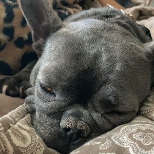 Meet your Posher, Brad